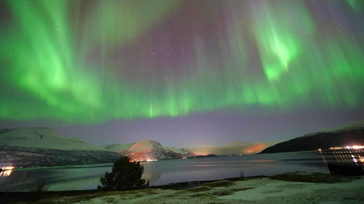 Guests around a campfire in thermal suits under green aurora on a Tromso Northern Lights tour with minibus and bonfire, Troms, Norway